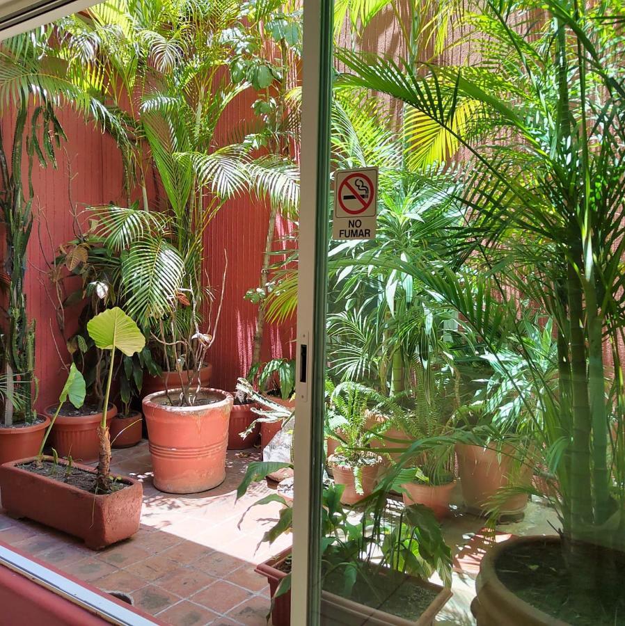 Hotel Posada El Cid Oaxaca Eksteriør bilde